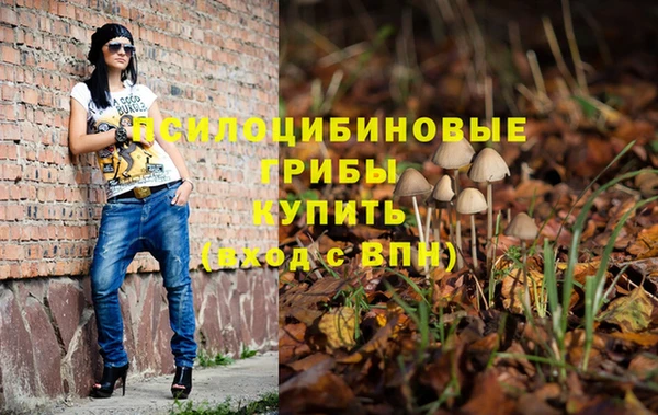 хмурый Белоозёрский