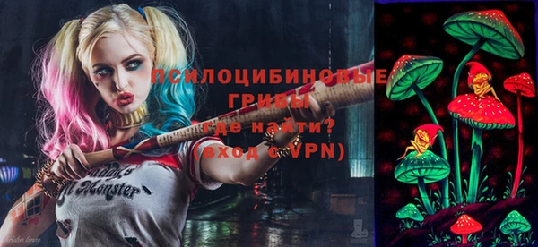 таблы Белокуриха