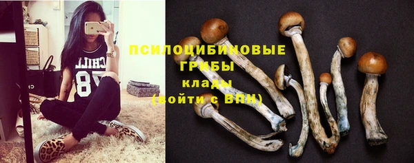 таблы Белокуриха