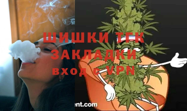 стафф Анжеро-Судженск