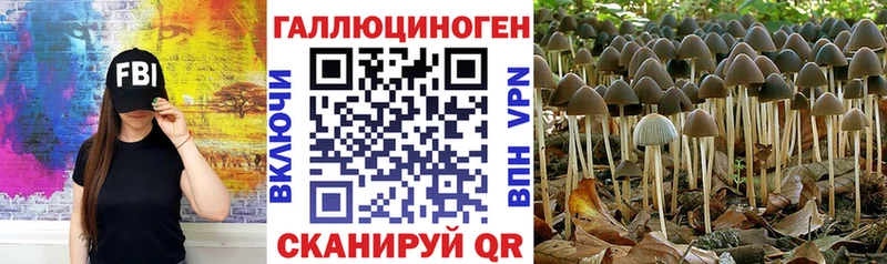Псилоцибиновые грибы Magic Shrooms  кракен   Выкса 